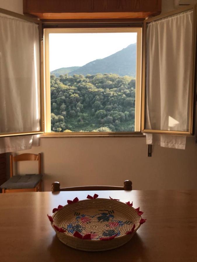 La Corbula - Casa Vacanze - Q5992 플루미니마조레 외부 사진